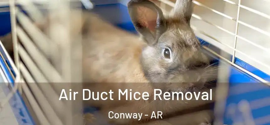  Air Duct Mice Removal Conway - AR
