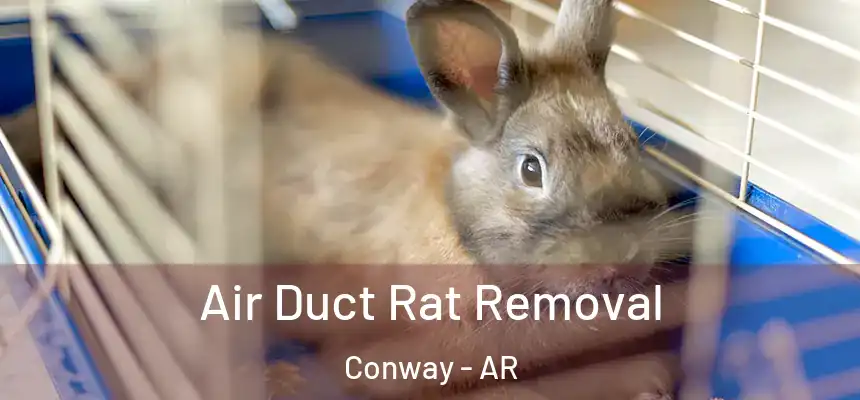  Air Duct Rat Removal Conway - AR