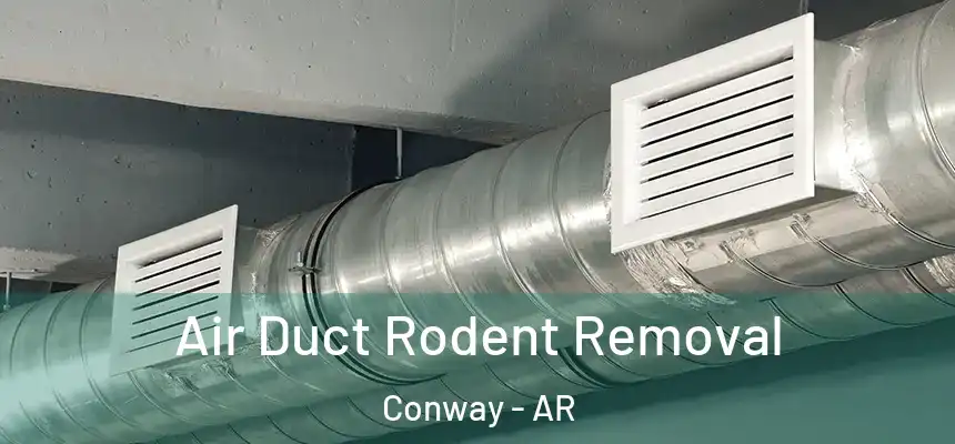 Air Duct Rodent Removal Conway - AR