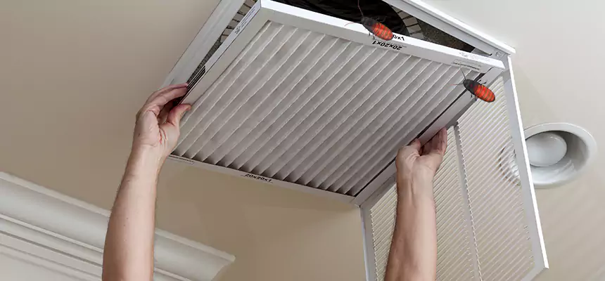 Our Insect Removal from Air Ducts Services in Conway, AR