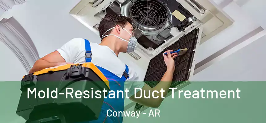  Mold-Resistant Duct Treatment Conway - AR