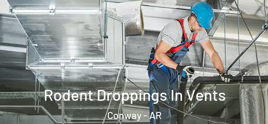 Rodent Droppings In Vents Conway - AR