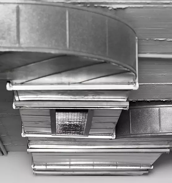 Professional Air Duct Pest Removal in Conway, AR