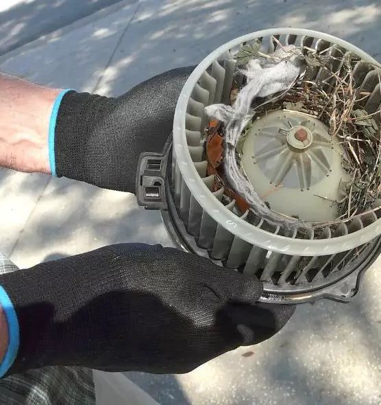 About Air Duct Rat Removal in Conway, AR