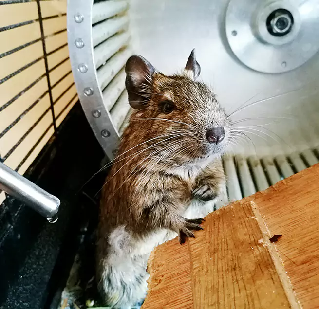 Why Homeowners & Businesses Trust Us Conway, AR?