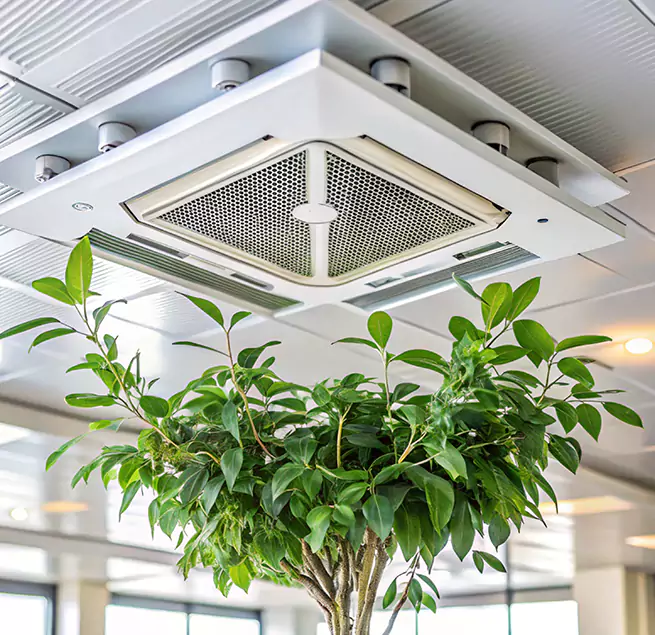 Why Homeowners & Businesses Trust Us in Conway, AR